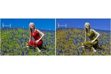 Yeşil Renk Körlüğü Renk Körlüğü Sebepleri Yeşil Renk Körlüğü Renk Körlüğü Sebepleri